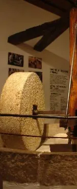 Museums